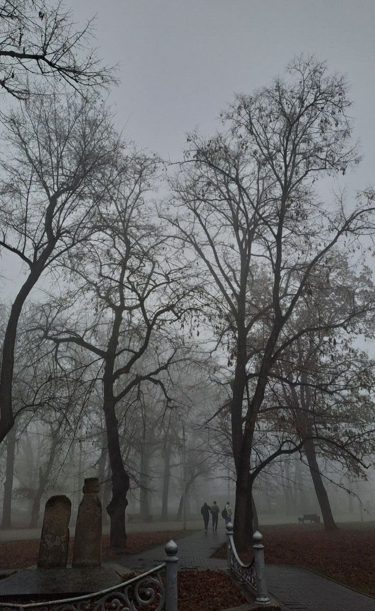 elemmiressoul's tweet photo. foggy autumn. https://t.co/WWZoppwxzv