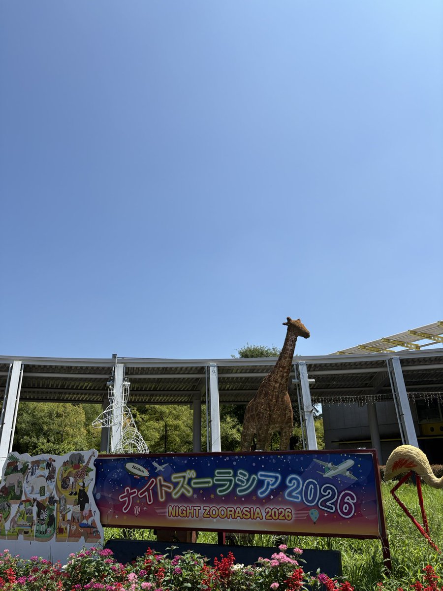 usapon86's tweet photo. 今日は、1年8ヶ月ぶり⁈の
ズーラシアへ。
オオアリクイの赤ちゃん見たり、ユーラシアカワウソ見たり、ズーラシラフェスの偵察(^◇^;)したりしてきました
暑かったー https://t.co/DNR6p1Xemk