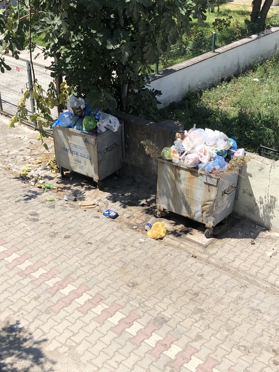 _suatbicer's tweet photo. Belediyenin görevleri arasında çöp toplamak ve sokakları temizlemek yok galiba? ÇÖP ARABASI HAFTADA BİR KEZ  YA GELİR YA GELMEZ. https://t.co/qmZTNiYoj1