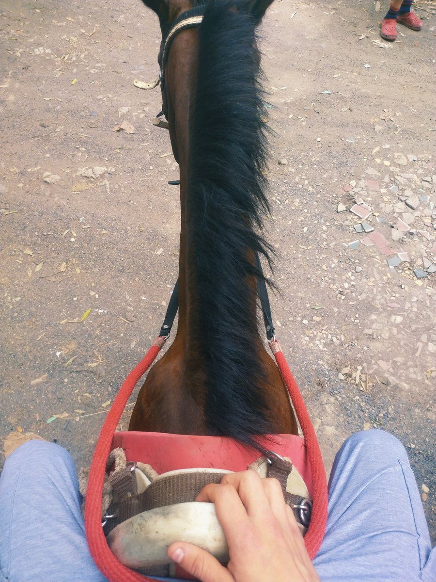 samaelmodel's tweet photo. Montar a caballo es divertido , pero no se compara cuando me montas a mi 😏🐴
🇨🇴 
#latino #young #x https://t.co/h0Fi5H4Gyj