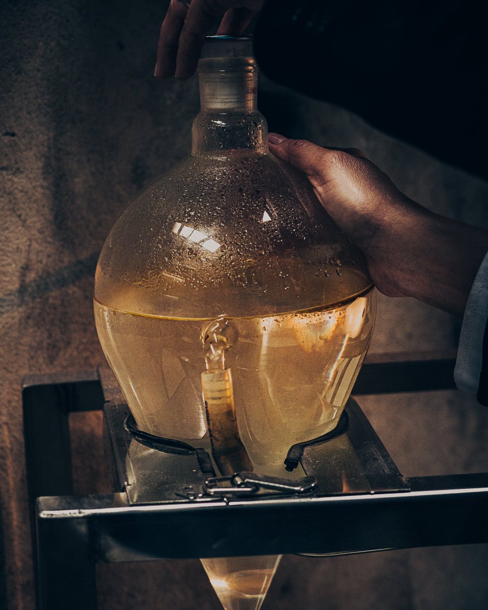 Dior's tweet photo. A raw and noble expression of nature.
At the heart of the new Sauvage Extrait, a sustainable Oud from Vietnam reveals a rare intensity. Harvested, ground and slowly macerated for two weeks, it unfolds into a precious essence with unique resinous and honeyed facets.

#DiorBeauty #DiorParfums #DiorSauvage