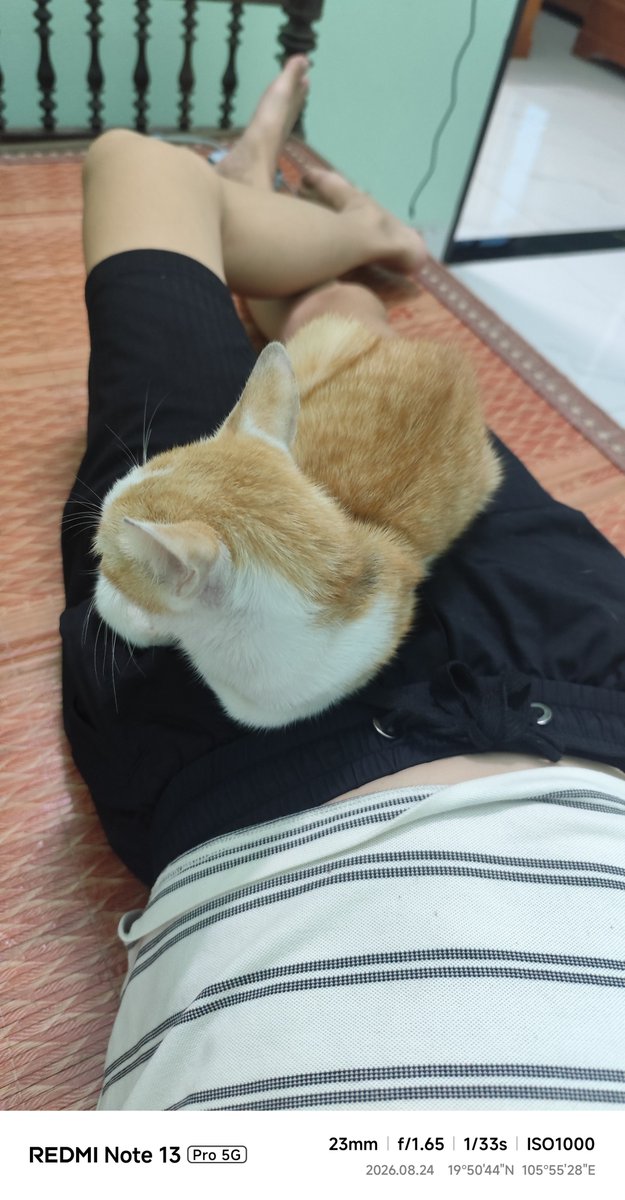 dbinx95's tweet photo. Hết chỗ nàm.r hay sao z https://t.co/Yr2puES0b2