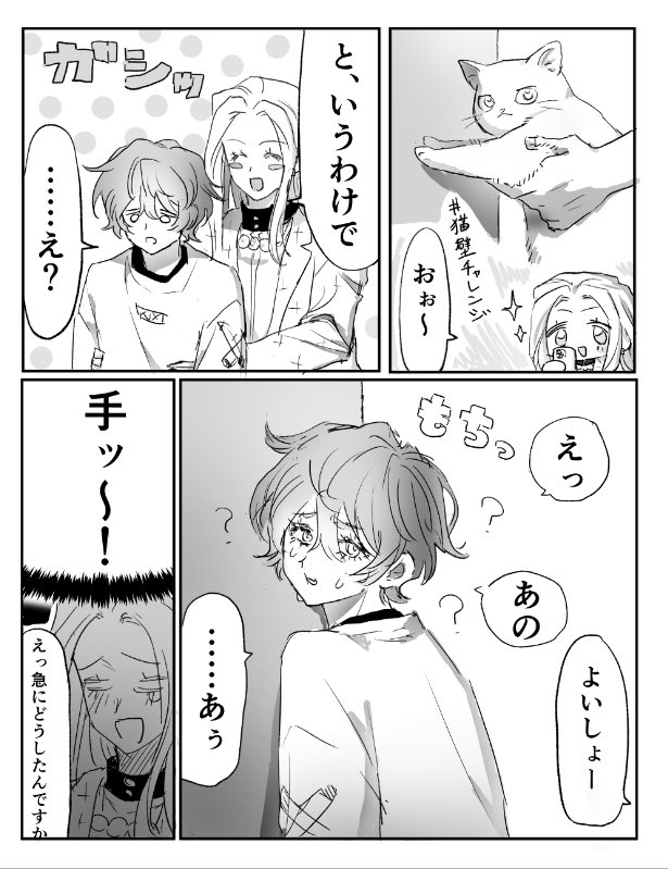 _Kanmi01's tweet photo. 猫壁チャレンジ💛🩵 https://t.co/2iDXcYyHHy