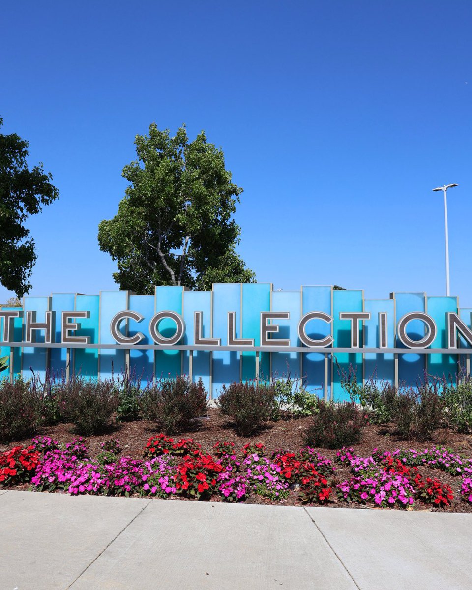 TheCollectionRP tweet picture