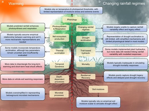 JPlantEcol's tweet photo. This review focuses on three key global change factors: elevated CO2, #climatechange, and nutrient enrichment. It systematically reviews the research progress in #data_modelintegration in #globalchange #manipulativeexperiments.
#ecosystemcarboncycle
https://t.co/Oo7PPBRouY https://t.co/h3ndrXHhor