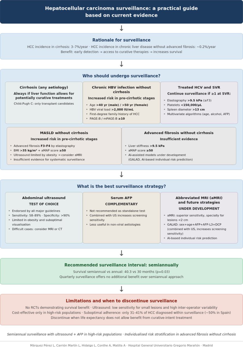 AEEHLiver's tweet photo. 📑"Cribado del carcinoma hepatocelular: una guía práctica basada en la evidencia actual".
Un trabajo de @lau_mqz, Laura Carrión, Lorena Hidalgo, @aconthe, y @anamatillapena.
🔎Lo leemos en nuestra revista 'Gastro&amp;Hepato' de julio: https://t.co/yaB0RjgUg9 https://t.co/NGMjnsoKmR