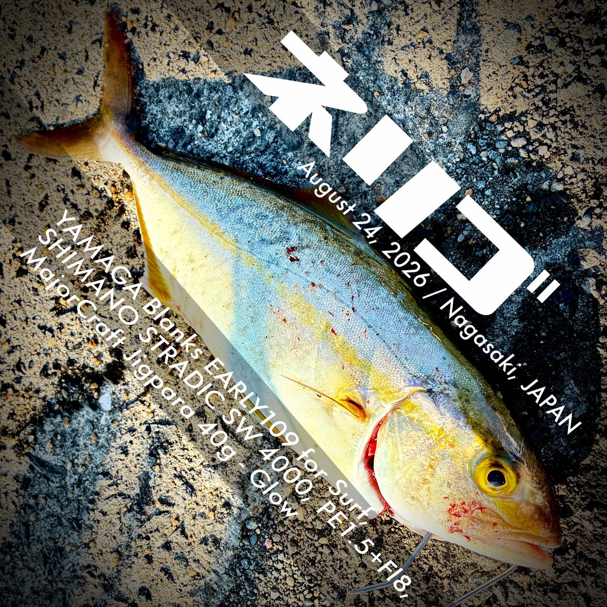 ooshima_'s tweet photo. 久しぶりな小さなネリゴ1匹のみでした🐟
31cmでギリ尺ｗ

#長崎 #岸壁 #車横付けｗ #ライト��ョアジギング #長崎釣り #ネリゴ https://t.co/qwYSEfrHQy