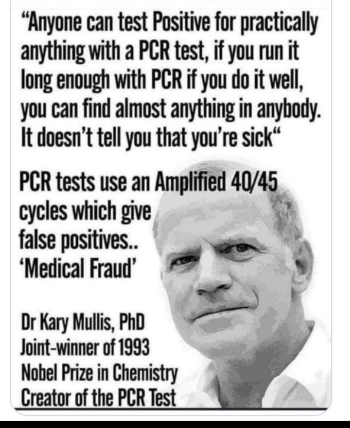 Wavedancer228's tweet photo. @jsolomonReports There is NO legitimate test for ANY flu ! https://t.co/aDlCrVpoLM