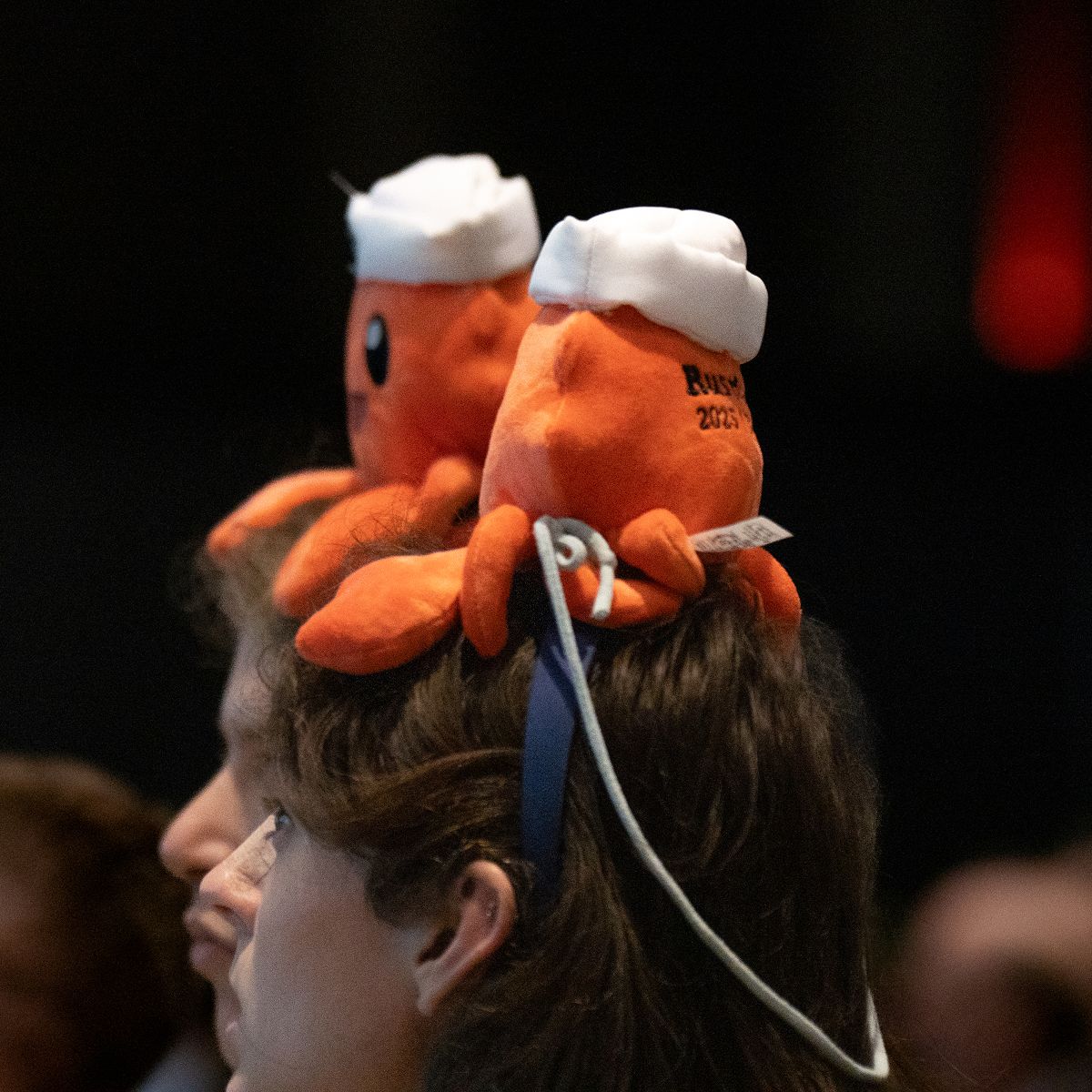 rustconf's tweet photo. #rustconf is about more than just conference talks; it's where the Rust programming language community has been gathering for 10 years to connect, get inspiration, and transfer knowledge. #rustconf26 is coming up in 15 days in Montréal. You don't want to miss it.
Grab your spot before it's gone: https://t.co/xdlAeYWeMb