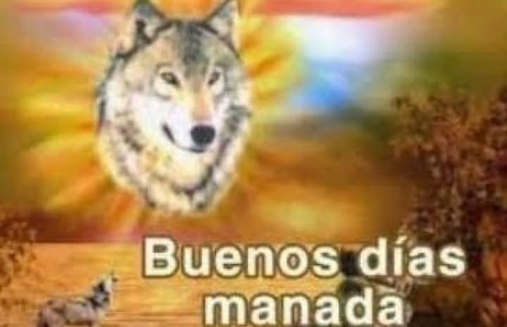 thonkwai's tweet photo. Ostias, me volví a dormir tarde 😞 https://t.co/WAVO7C3G9W