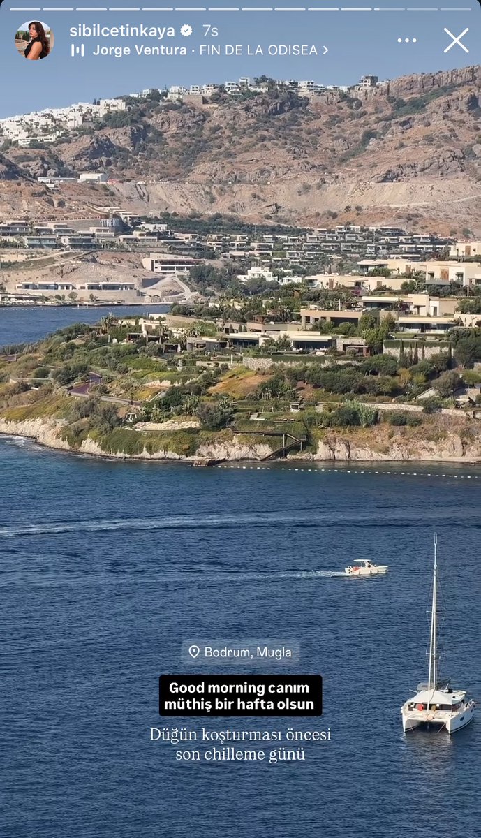 civaba tweet picture