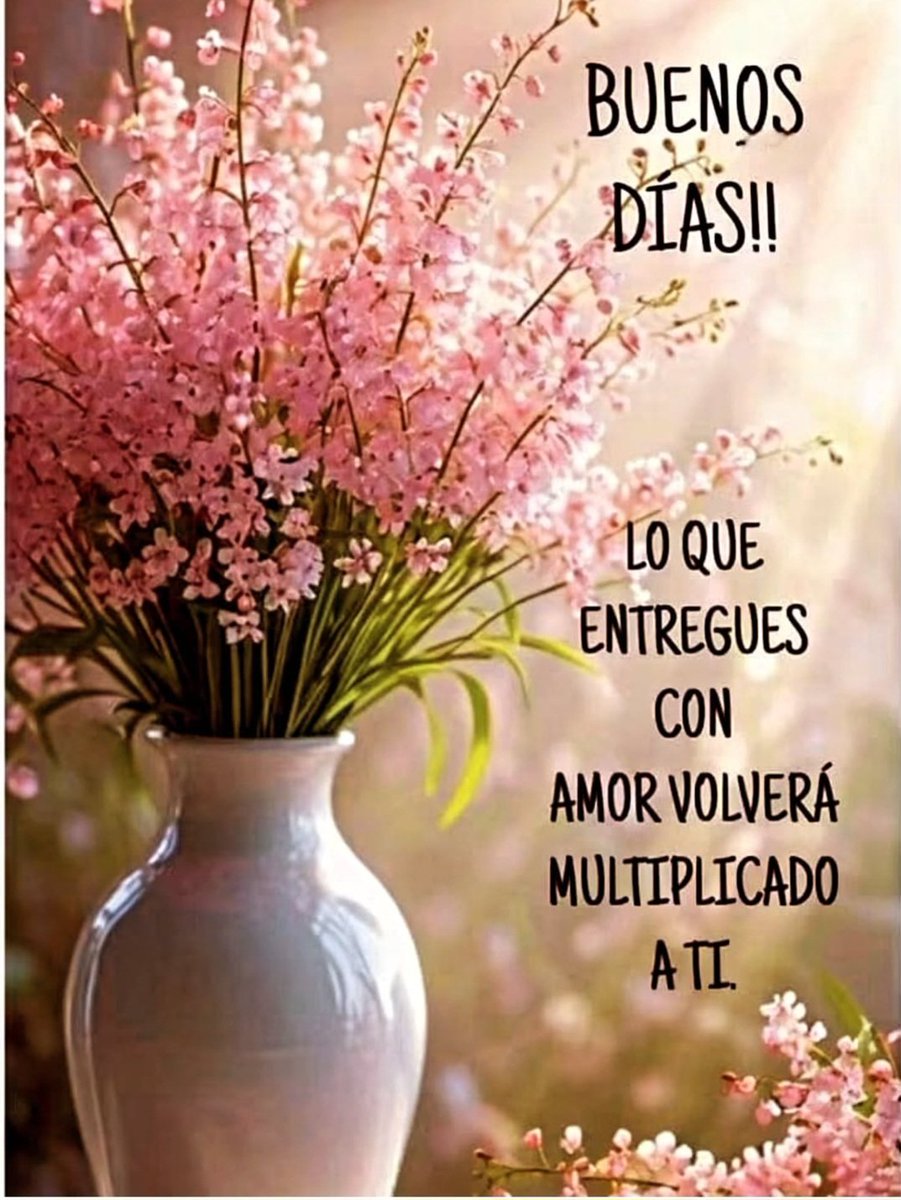 chfrcm144's tweet photo. @An74210Antonia Gracias Antonia lo mismo te deseo a tí. Que tengas un feliz día. 🫶🏼😘😀
#APOYOROCIO24A https://t.co/Z3wtoiTPW3