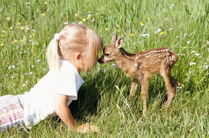 reminiscinbby's tweet photo. baby deers are so precious ♡ https://t.co/YngoTCHT8g