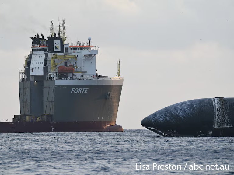 cb_doge's tweet photo. BREAKING: Starship will be carried home to Starbase, Texas, on a massive 48,000-ton semi-submersible vessel called Boskalis Forte.

SpaceX’s Ship 40 will be lifted from the ocean off Christmas Island, an Australian territory, and carried home to Starbase, Texas, aboard a massive 48,000-ton semi-submersible vessel.

After Starship survived its Flight 13 splashdown and spent more than three weeks at sea, SpaceX worked with the Australian Space Agency and the federal government to tow the 52-meter spacecraft to the island’s Flying Fish Cove.

Forte will submerge its cargo deck beneath the water, position Starship above it, and then rise, lifting the spacecraft from the ocean for transport. Recovering it will give SpaceX engineers invaluable data from its spaceflight and reentry.