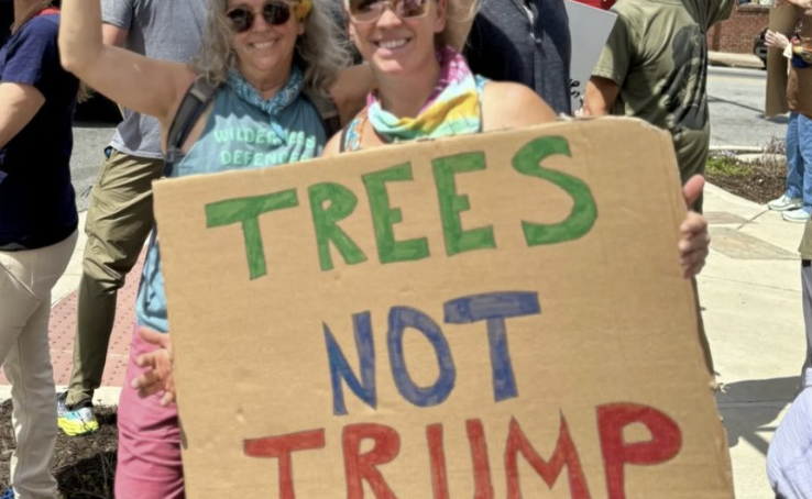 funder's tweet photo. 625,000 Americans filed comments telling them not to open 45 million acres to logging.

99% said no.

They filed the paperwork to do it anyway on Tuesday.

They're not counting on winning the argument. They're counting on you not saying it twice.

👇 Say it twice:

https://t.co/uFVBdAmxRn