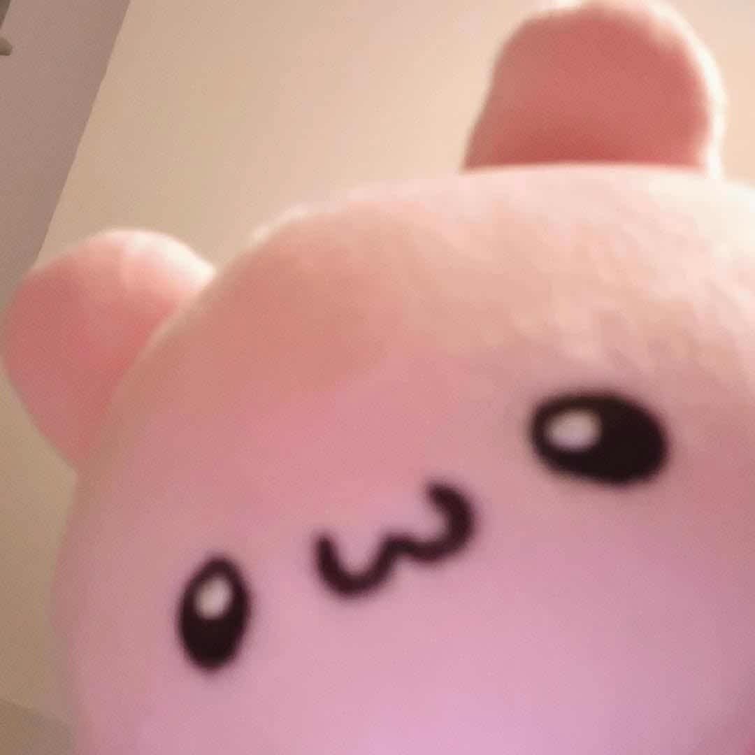 ri2sqkuma's tweet photo. 리츠급 https://t.co/QuGPxgeCuh
