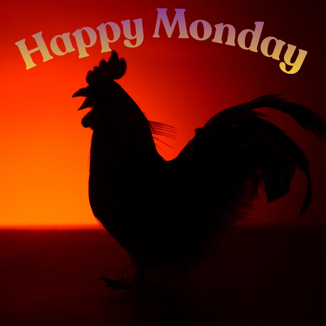 rdeal1968's tweet photo. Get an early start on having a great week by making the most of your Monday. #MakeItGreat #Happy #Monday #StartOfTheWeek #HappyMonday https://t.co/XDmvDwkK8a
