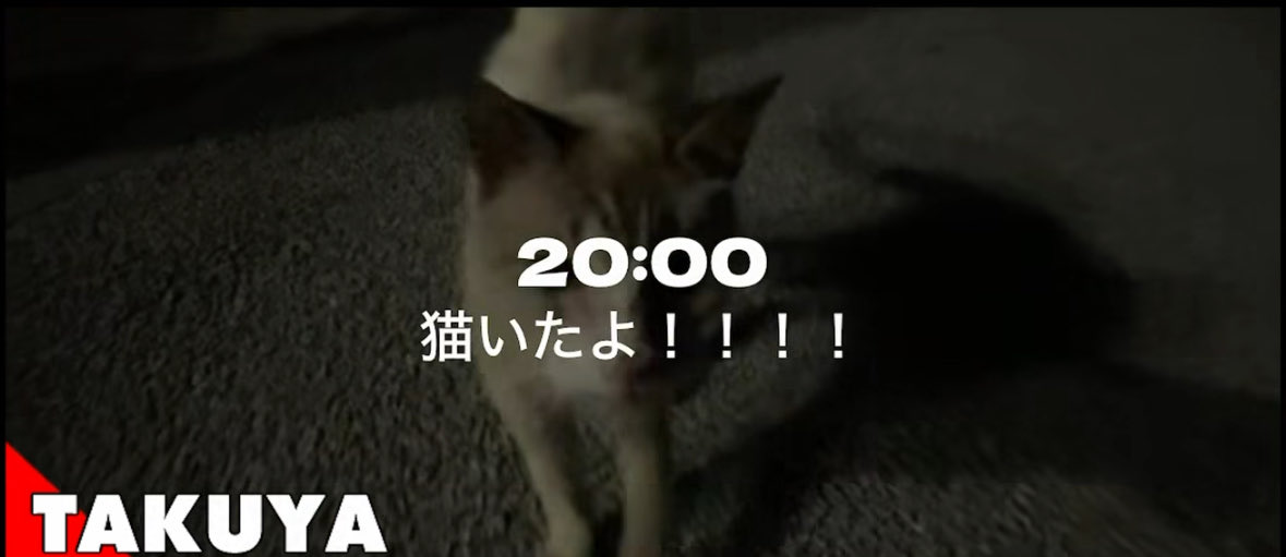 pui_o3's tweet photo. やはり雑誌「ねこ」表紙に向いてると思います猫好き影山拓也 https://t.co/GBOet8xQyx