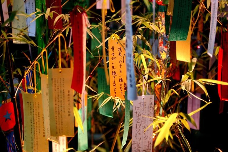 yamjgoops's tweet photo. #tskym
An izakaya near Sendai Station regularly hosts a loud table of five.
Or four, whenever Kei refuses to witness Shoyo and Tobio’s antics.
​If they were exhausting in high school, watching them act like a married couple now is pure torture. + https://t.co/p63Wkm1B2U