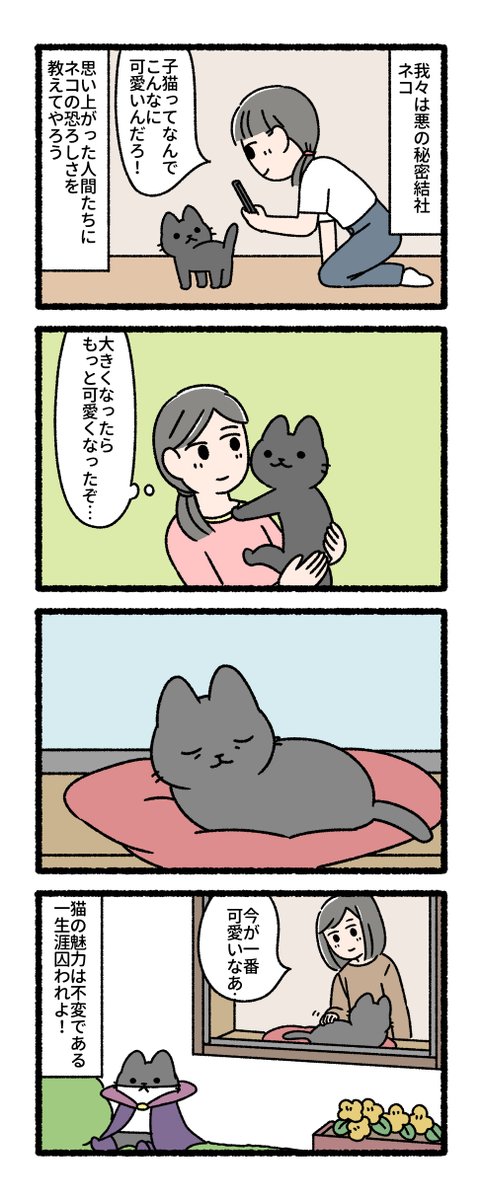 pandania0's tweet photo. 猫たちが悪の秘密結社をつくったら　その２（1/3） https://t.co/PJmTSO5OTb