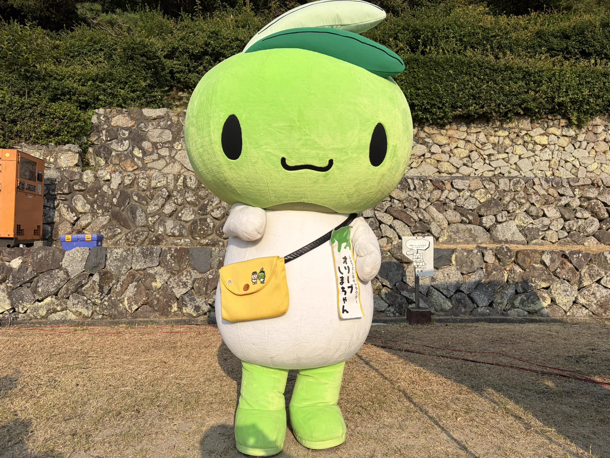 オリーブしまちゃん公式【香川県・小豆島】 on X: 
