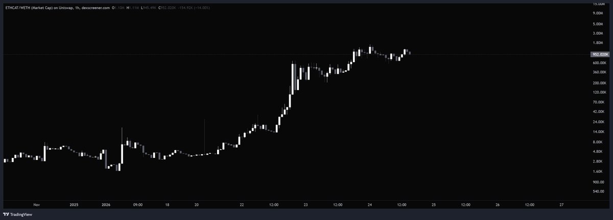 cryptostasher's tweet photo. ethereum:0x777777780838c00038ecd48f63f3c37669322bc8 is the only cat that can actually claim to be ethereum in meme form.

it's literally the cat from https://t.co/284ir6c3hk.

launched in 2024 and the dev wallet hasn't moved since launch.

holding $1m very strong and holders keep growing.

this will run with ethereum:native imo.