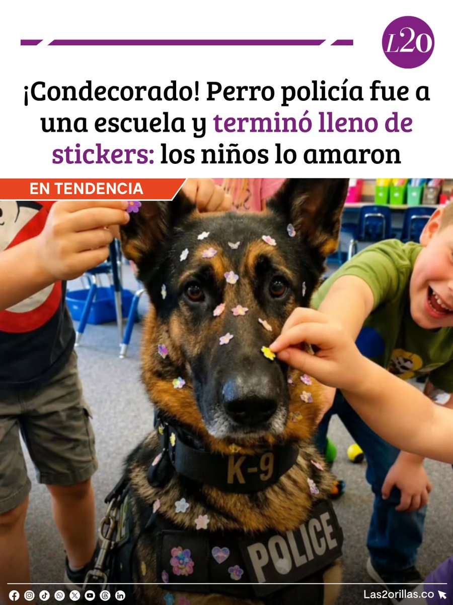 Las2Orillas's tweet photo. 🐶 Rex está entrenado para enfrentar situaciones de alto riesgo, pero durante una visita a una escuela en Austin, Texas, tuvo una misión muy distinta: dejarse querer.

Los niños lo rodearon y llenaron de estrellas, corazones y caritas sonrientes, incluso sobre su arnés 🐾.

Rex permaneció tranquilo y, al intentar quitarle los stickers, se apartó como si quisiera conservarlos. Una tierna escena que mostró su lado más noble.

💬 ¿También le habría puesto stickers a Rex? 
.
.
.
#Rex #Perros #Animales #Viral #Las2orillas