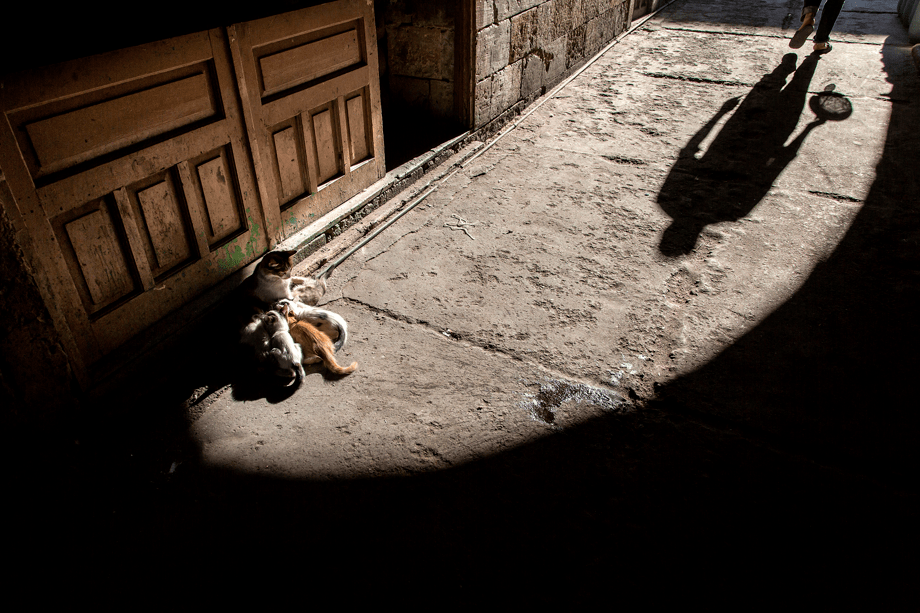 Conan74983801's tweet photo. Stumbled on a sun-dappled old alley today—walls covered in faded graffiti, a stray cat napping on a wooden crate. Nothing fancy, just the quiet charm of everyday city life. https://t.co/sDLVgNa5nk