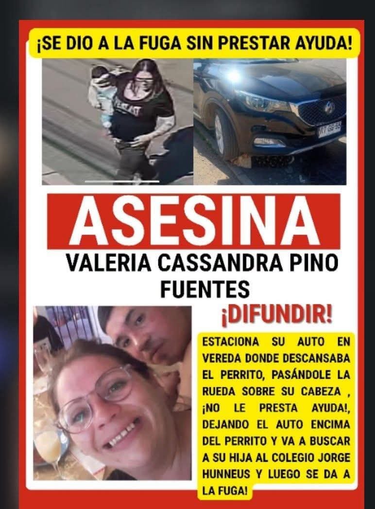 RockdrigoRoman's tweet photo. Guatóna qla MALDITA https://t.co/saE8BiZx0T