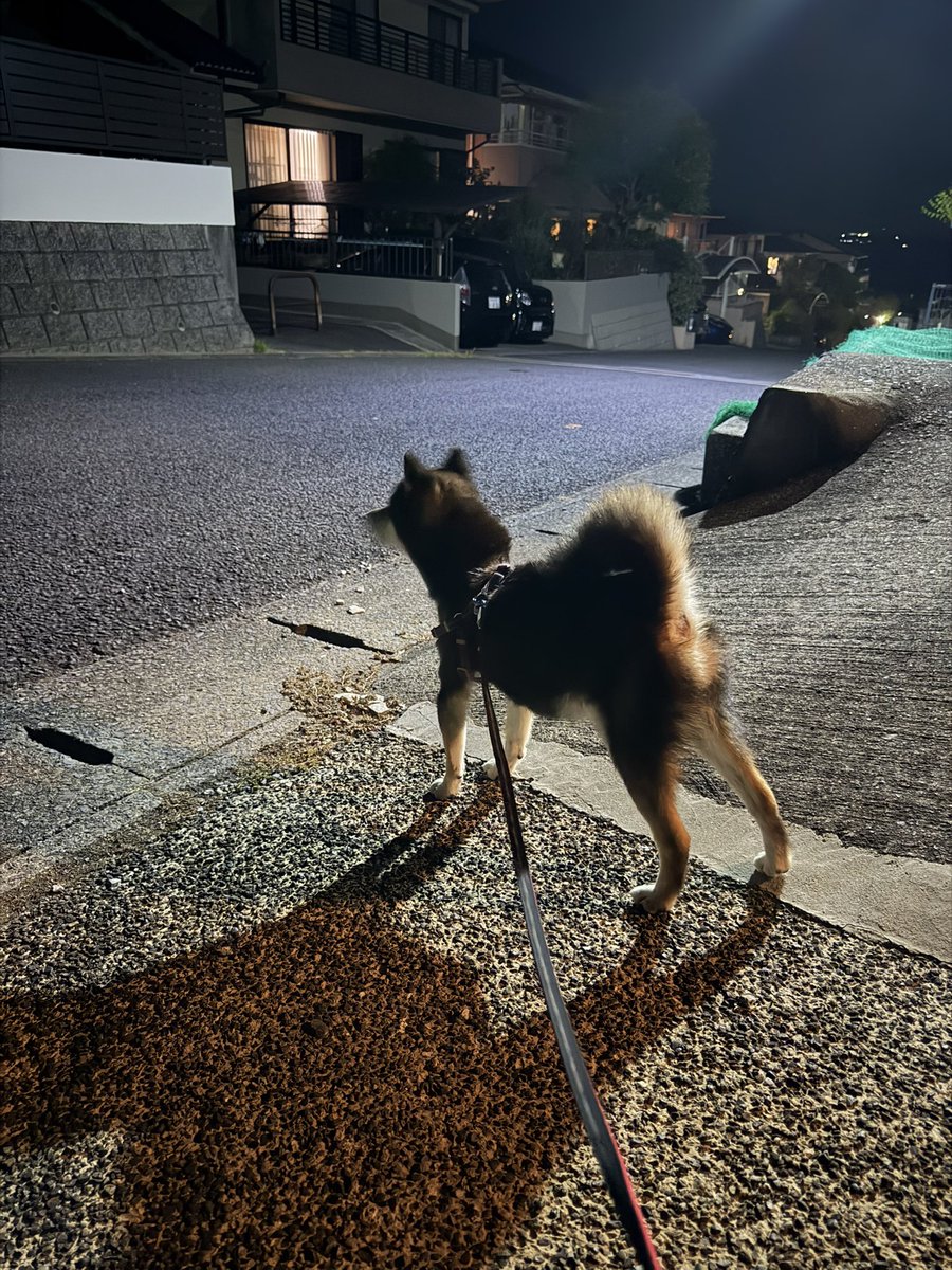cozyFC3S's tweet photo. こんばんは https://t.co/npGRqVXxuE