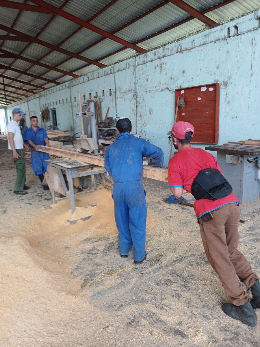 Agroforestal_VC's tweet photo. 🌲 Los trabajadores de la UEB #Madeca garantizan cada día la #madera para los sarcófagos de #SantaClara ⚒️. Aprovechan los intervalos sin apagones ⚡ y el respaldo del grupo electrógeno, mostrando sensibilidad y compromiso en una función esencial.
@Yadira_Forestal @portal_villa https://t.co/snZU1q0tja