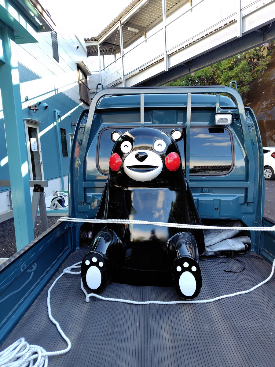 lnfjwGNGJmZ3bIQ's tweet photo. ちょっと捕まえてきました。
くまだけど大丈夫でした。 https://t.co/4tcBzNgXGg