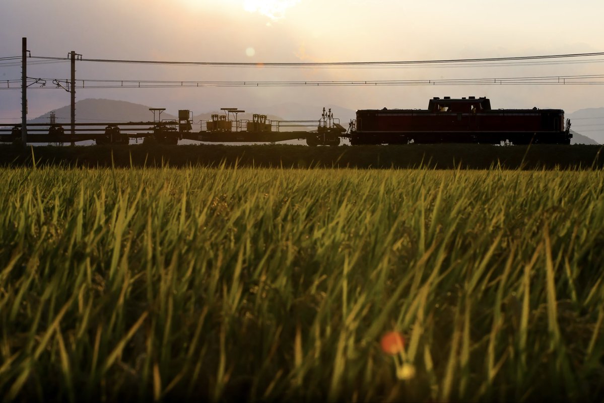 dapingyong66761's tweet photo. 工9182レ 米原工臨 DD51-1109+チキ12B
前々から狙っていたシルエットへ。直前で少し露出が落ちましたがなんとか耐えました。 https://t.co/2rioQGBhda