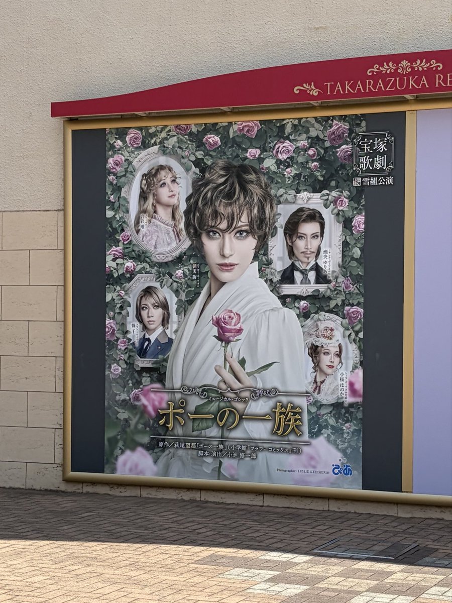 saku_hon's tweet photo. 昨日、宝塚雪組公演ポーの一族の千秋楽を観劇しました。読書時間を削ってスマホに張り付きリセールで取った甲斐がありました。今回は観劇前に原作の漫画も読み、心揺さぶられっぱなしの幸せすぎる時間でした。そして好きな方が本っ当に素敵でした。 https://t.co/v09sYm4chd
