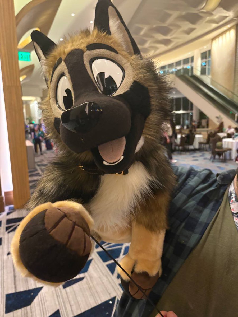 ScarfShepherd's tweet photo. Safe travels to everyone leaving Megaplex today! 

Ozzy had a wonderful time getting to meet (and bite) so many of you!! 🐾 https://t.co/E8EEOQjmrL