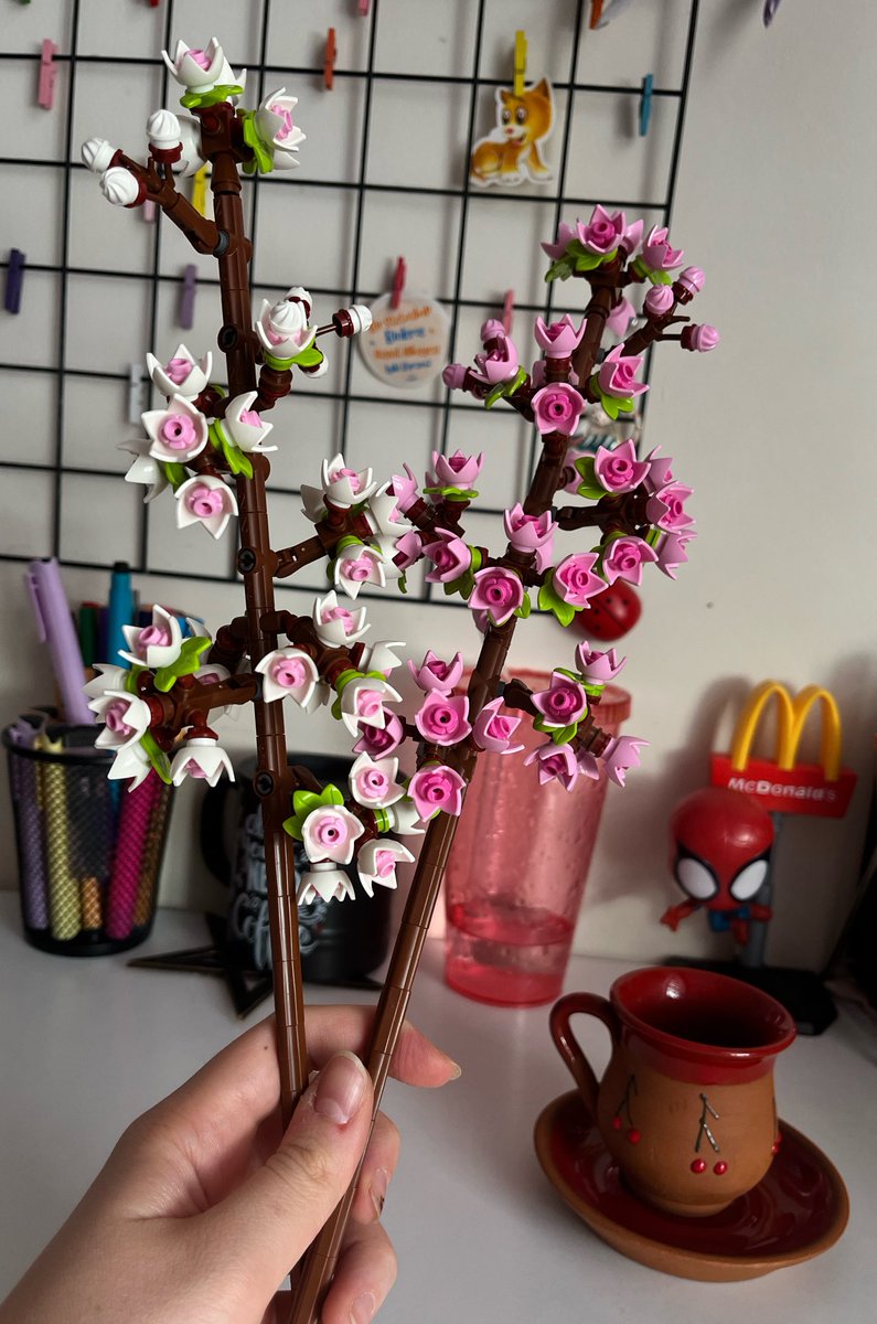 eyluuuls's tweet photo. Benim de artik hic solmayacak ciceklerim varr 💖🫠🌸 https://t.co/4xLeX7dT9V