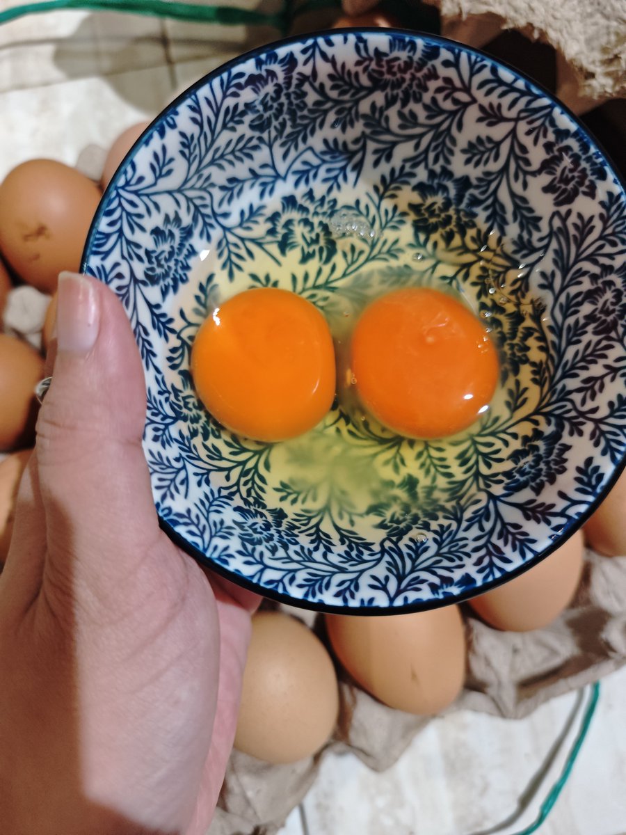 Woolandaridea's tweet photo. Pernah beli telur 1 piring. Dan semuanya bener bener udah hampir busuk. Baunya anyir banget. Kebayang kan betapa senang nya kalo nemu penjual telur yang bagus kaya gini 🥹 https://t.co/RfzmGVyEsO
