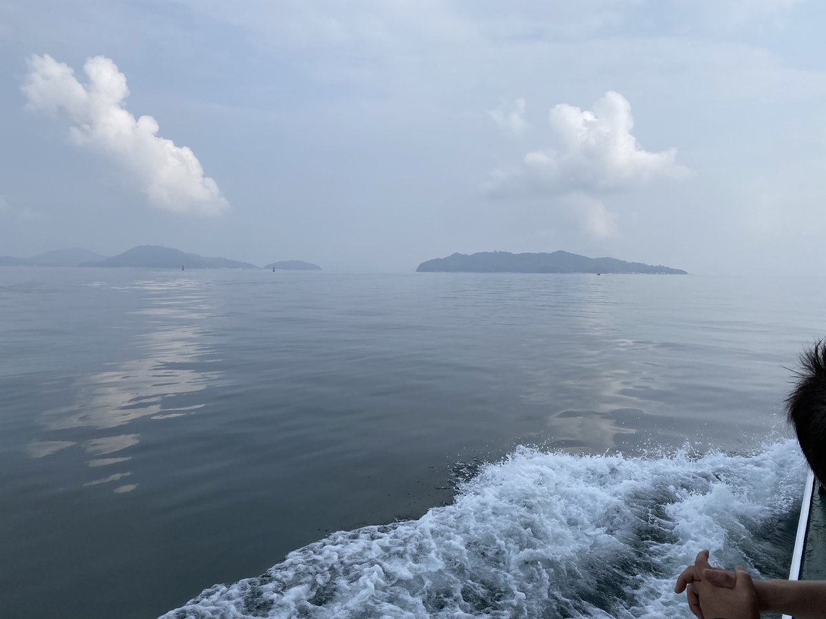 okd_yu's tweet photo. 2026.8.14

志々島

マニアな方達に紛れて素晴らしいものを見せていただきました。 https://t.co/WKNLlTVFAv