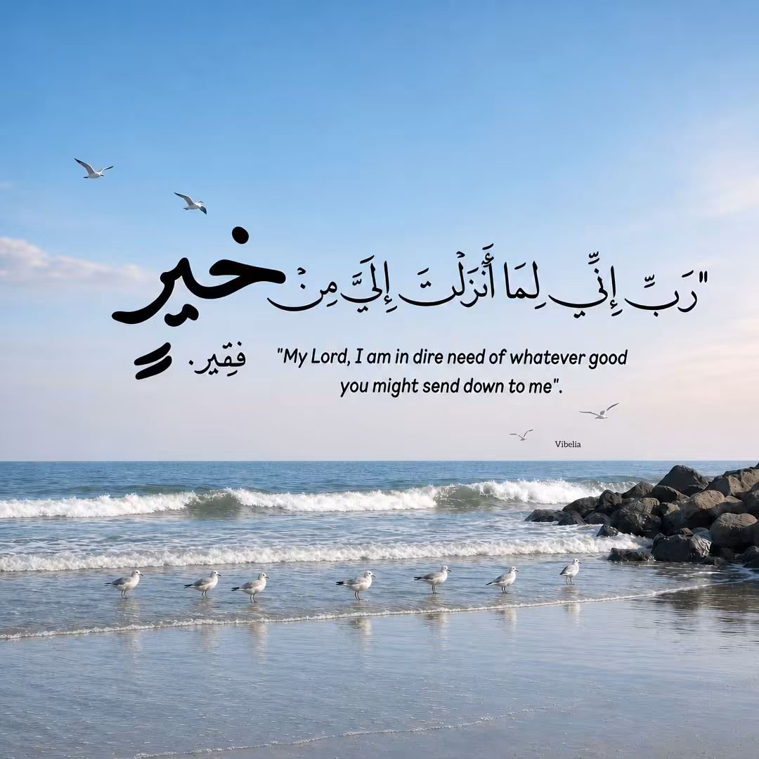 leqaahosni_911's tweet photo. https://t.co/wGCL4msOy0