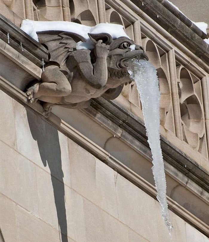 pmamtraveller's tweet photo. ‘Vomiting’ gargoyles https://t.co/8E9fp9dgZ5