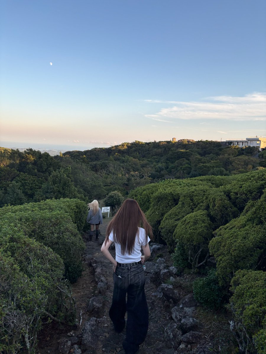 oru_san's tweet photo. 友達と自然界隈🌳 https://t.co/ZV4RsoVSQc