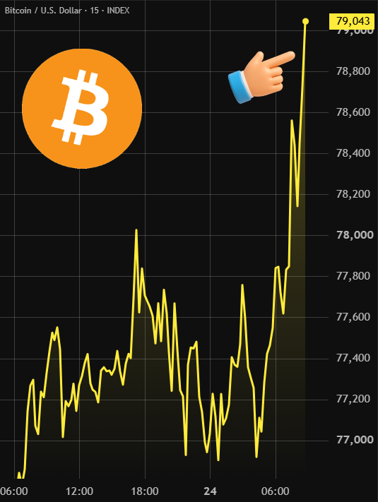 BitcoinArchive's tweet photo. BITCOIN JUMPS TO $79,000 👀

$65M SHORTS LIQUIDATED IN 12H https://t.co/UKmte3s036