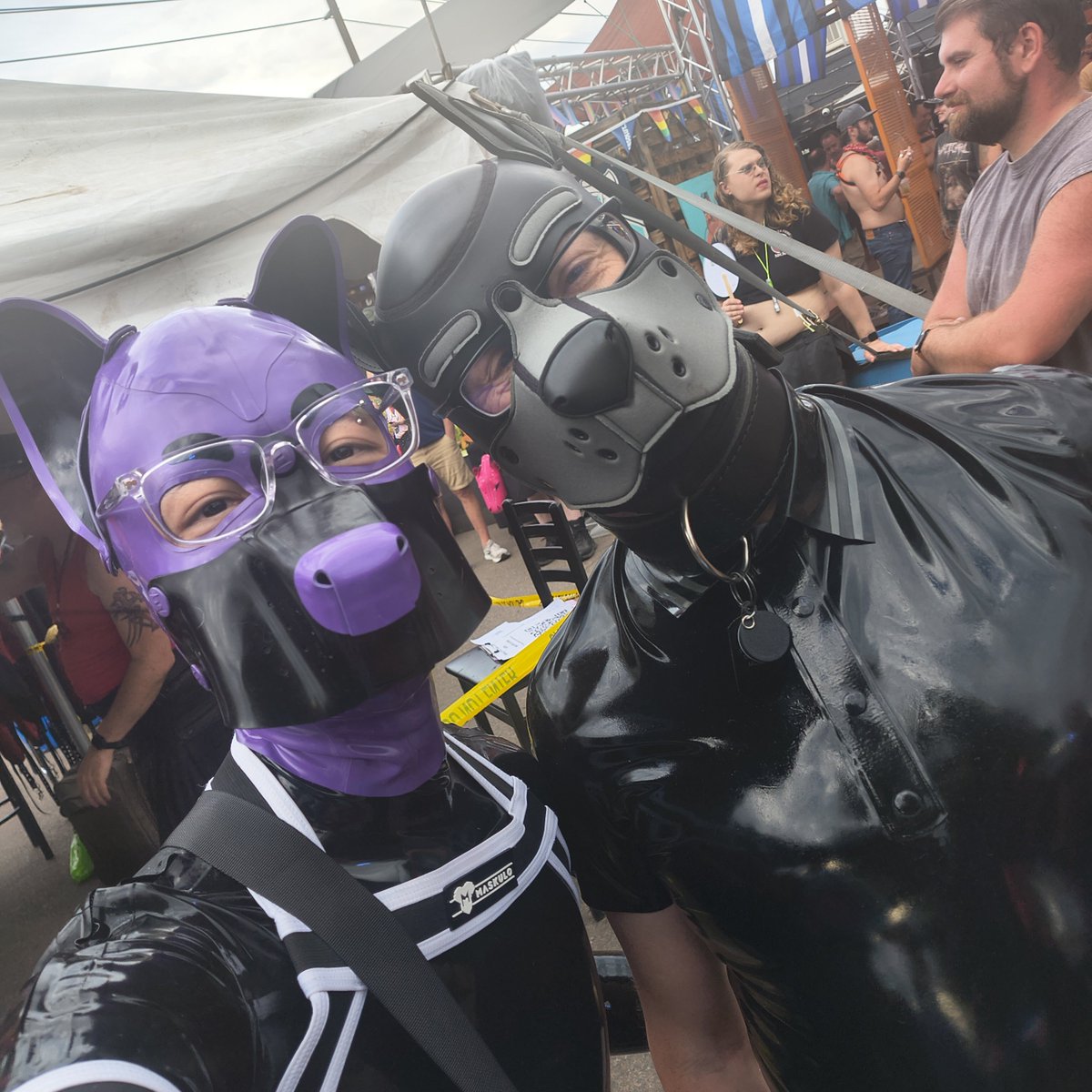 AmbiGimp's tweet photo. Back Alley pups! @aeropupCO https://t.co/tHDaCl2til