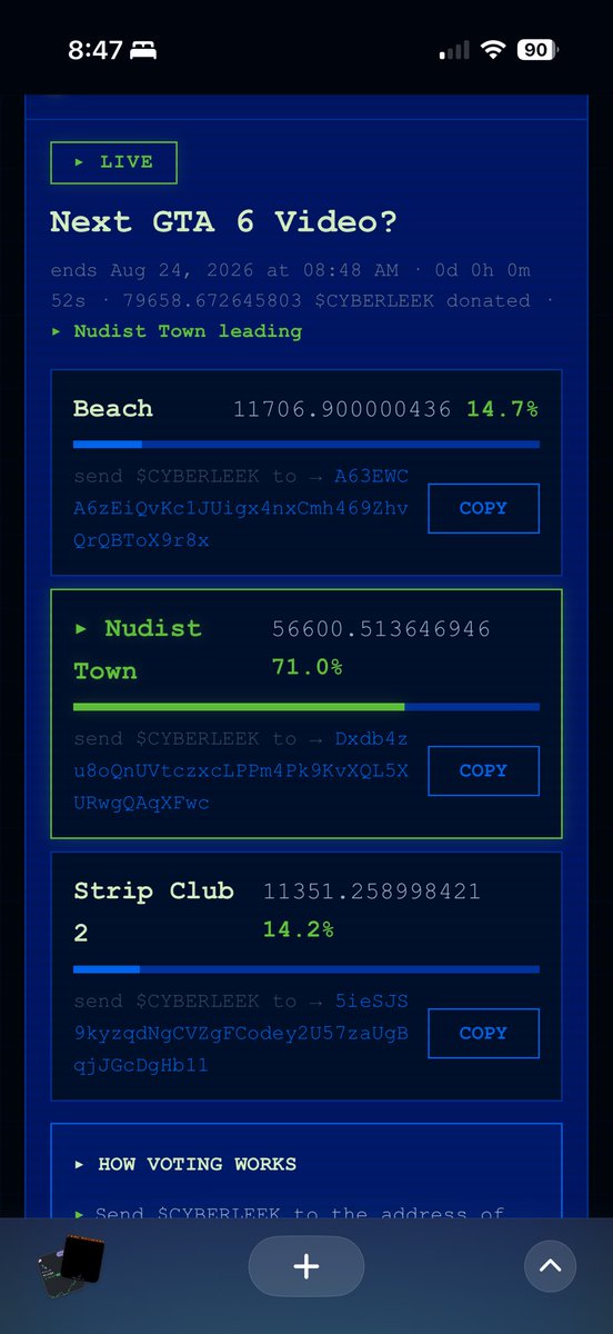 NakedNezie's tweet photo. @Mattdek_ Beach won from it being rigged like US voting https://t.co/deHsjtVo6u