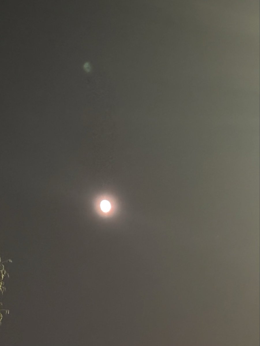kota_yabu_hsj's tweet photo. 僕はこんな感じでした🌕

同じ今日の月ですよね？？ https://t.co/oplReZch5A