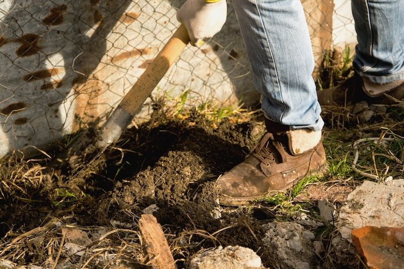 vikingplumboise's tweet photo. Tree root intrusion can start with a tiny opening in an aging sewer pipe. As roots grow, they can restrict flow, widen cracks, and separate pipe joints. #Plumbing #TreeRootIntrusion #SewerLine #IdahoPlumber https://t.co/HiY314ieLY https://t.co/ZEcB2mSRBo