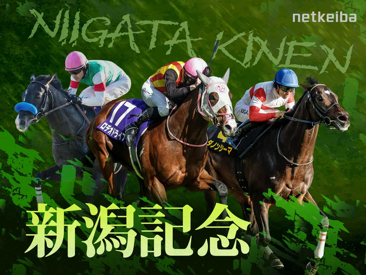 netkeiba's tweet photo. 【今週の重賞特集】
夏競馬最後にして最高の大一番が到来
#新潟記念
https://t.co/YcZSbBQsQB

夏の中京を締める若駒のスピード勝負
#中京2歳ステークス
https://t.co/PajhNFbjgy https://t.co/D9J87rSJN8