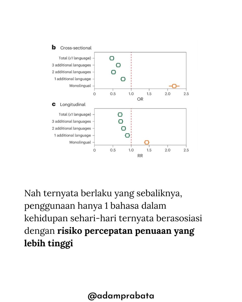 AdamPrabata's tweet photo. Gua Jadi Termotivasi Belajar Banyak Bahasa Asing Setelah Baca Jurnal Ini

Di studi raksasa yang gue bahas di slide, lebih dari 86.000 orang dari 27 negara Eropa dilihat kebiasaannya dalam berbahasa.

Hasilnya adalah orang yang pakai lebih dari 1 bahasa dalam keseharian (multilingual) punya risiko percepatan penuaan yang 30% LEBIH RENDAH.

Semakin banyak bahasa yang dipakai, grafik risikonya makin turun.

Sebaliknya, mereka yang hanya pakai 1 bahasa justru keliatan punya risiko percepatan penuaan lebih tinggi di data cross-sectional dan longitudinal.

Penuaan yang dimaksud di sini meliputi kemampuan kognitif, kemampuan fisik, dan kondisi lain yang terkait usia.

Kenapa bisa gitu?
Hipotesisnya adalah karena tiap kali kita ganti bahasa, otak dipaksa untuk milih kosakata, switch aturan tata bahasa, dan adaptasi konteks sosial.

Itu semua ibarat “gym” buat memori kerja, dan fungsi eksekutif yaitu area yang paling rentan menurun saat menua.

Jadi apakah kalian tertarik untuk menguasai banyak bahasa?