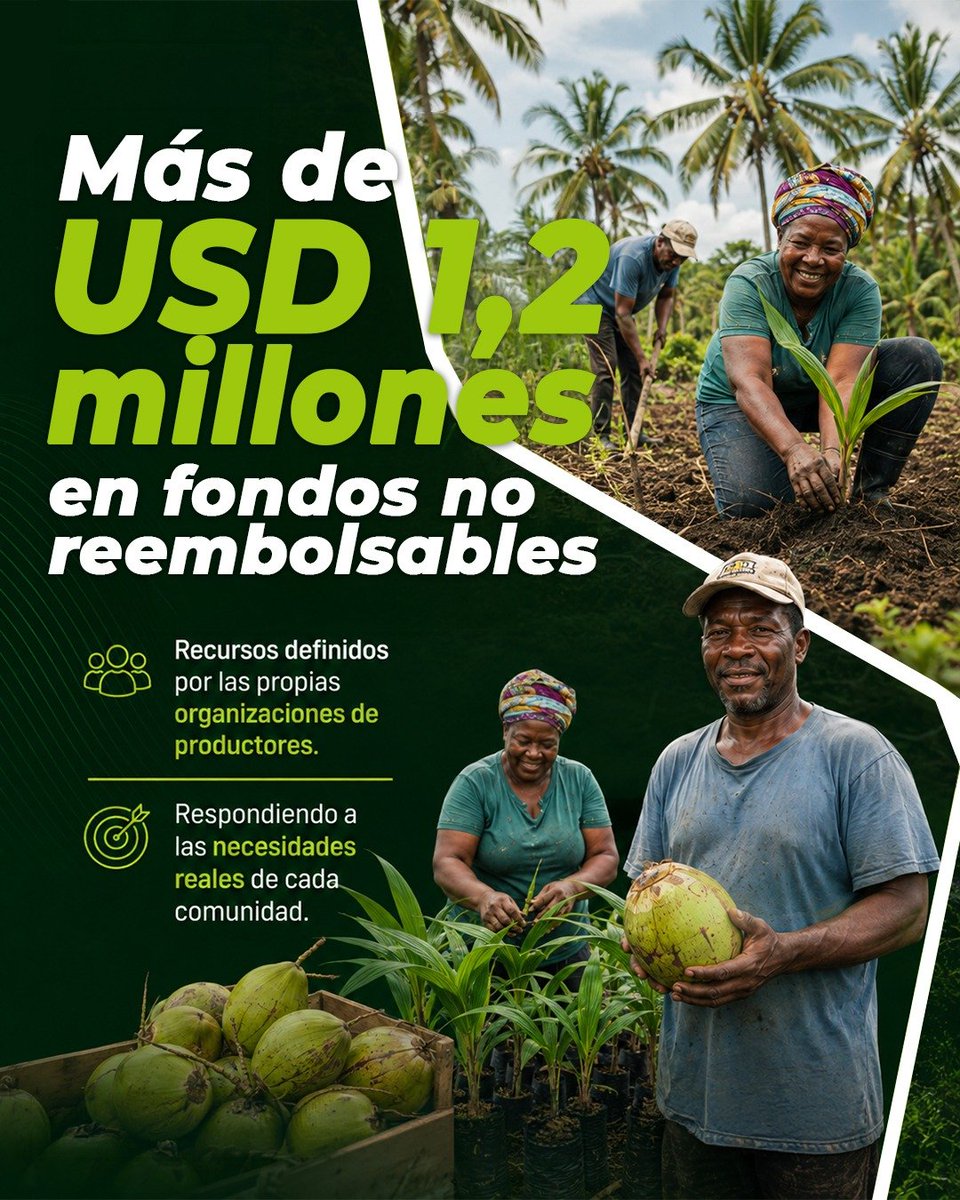 Secretaria_PyN's tweet photo. Una plaga está poniendo en riesgo el sustento de miles de familias en Esmeraldas. El Ministerio de Trabajo y Desarrollo Humano, a través del Viceministerio de Pueblos y Nacionalidades, respalda al sector cocotero con fondos no reembolsables 🥥🇪🇨
#GobiernoDelEcuador https://t.co/giKEPKLJ09