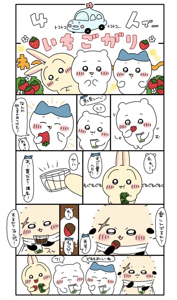 sin__ika's tweet photo. いちごと4人 https://t.co/Huqy8wbpuy